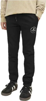 Image de Pantalon Jack&Jones 077-50697915302227 pour Homme