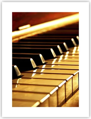 Produktbild von Poster - Poster ohne Rahmen - Klavier Musik Konzert - 30x40 cm - Wand Bild - Wanddeko - Wandbilder - Kunstposter - Wandposter - Bilder - Kunstdruck - Wanddekoration - Wandbild - P2XPA30x40-2200