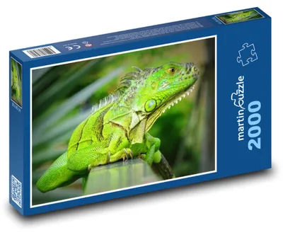Zdjęcie produktu dla martinpuzzle - Puzzle 2000 - "Chameleón"