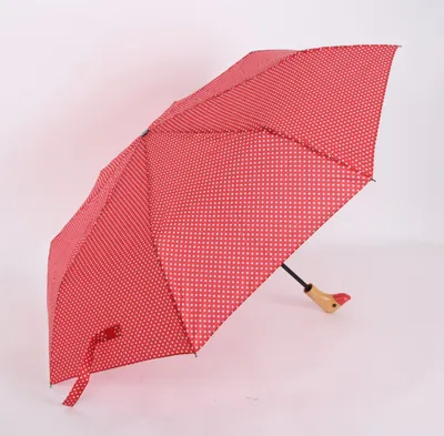 Image de Parapluie de poche télescopique avec housse de protection 98 cm à pois manche en fibre de verre imperméable rouge