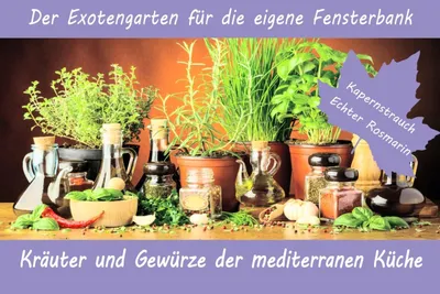 Produktbild von Anzuchtset Kräuter und Gewürze der mediterranen Küche | Anzuchtsets von Saflax