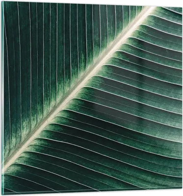 Produktbild von Bilder auf glas - Einteilig - Grün Blatt Tropisch - 70x70cm - Glasbilder - Wandbilder - Bilder - zum Aufhängen bereit - Wanddekoration aus Glas - Glas Bilder - Wandbild auf Glas - GAC70x70-4126