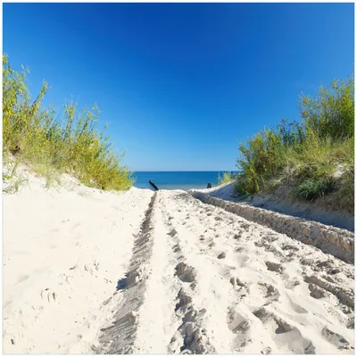 Produktbild von Wallario Memoboard Magnettafel aus Glas, Größe 50 x 50 cm, Motiv Auf dem Sandweg zum Strand - Blauer Himmel über dem Meer