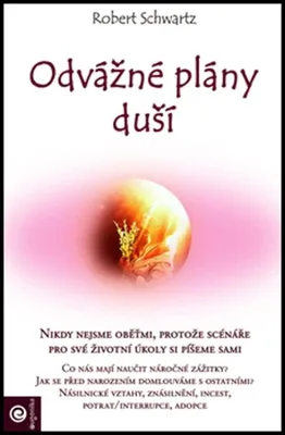 Image de Odvážné plány duší (Schwartz Robert)