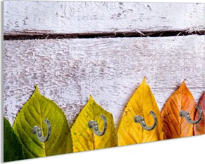 Produktbild von Wallario Schlüsselbrett aus Glas, Motiv: Bunte Herbstblätter auf hellem Holz, 30 x 20 cm mit 4 Haken
