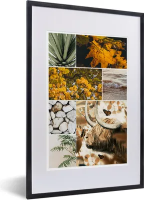 Produktbild von MuchoWow® MuchoWow® Gerahmtes Poster Schottische Hochlandrind - Collage - Meer - Pflanzen 40x60 cm - Poster mit zchwarzem Bilderrahmen - Poster in Rahmen