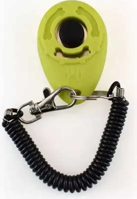Immagine prodotto di Cliccatore per animali domestici 6 x 4 x 1,75 cm Verde chiaro