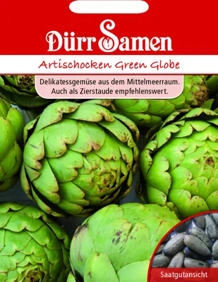Produktbild von Dürr-Samen - Artischocken Green Globe - Saatgut - 0552