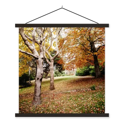 Produktbild von MuchoWow® Textilposter Herbst - Bäume - Laub - Natur 60x60 cm mit schwarzem Rahmen - Posteraufhänger