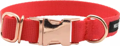 Obrázok produktu pre Nelson-X Obojok Pre Psov Zlaté Kovanie Ťažká Pracka Veľkosť S 25-35/1,5 Cm