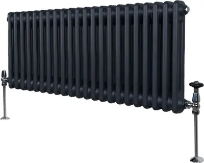 Obrázek produktu pro Tradiční dvousloupový radiátor - 300 x 1012 mm - antracitově šedý