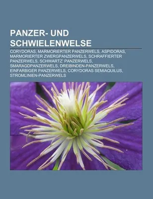 Produktbild von Panzer- und Schwielenwelse