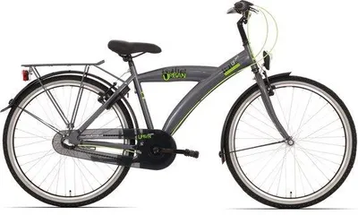 Zdjęcie produktu dla Rower dziecięcy Bikefun Urban City 26 cali z 3-biegową piastą hamulcową Nexus – tytan