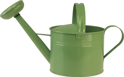 Produktbild von Dekorative Metallkanne für Pflanzen und kreative Frühlingsdeko im Garten