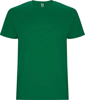 Produktbild von Roly CA6681 | Stafford T-Shirt - Doppellagiger Rundhalskragen - Farbe: Kelly Green 20 - Größe: 3XL