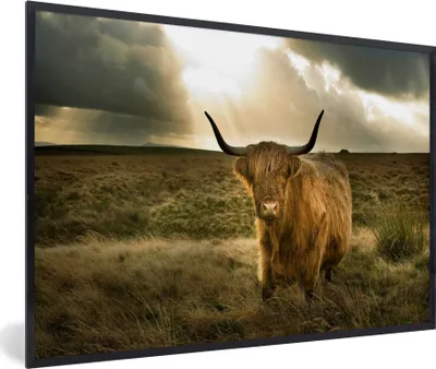 Produktbild von MuchoWow® Gerahmtes Poster Schottischer Hochländer - Sonne - Gras 90x60 cm - Poster mit Schwarzem Bilderrahmen Wandposter Rahmen Foto Bilder - Fotorahmen - Foto-Plakat