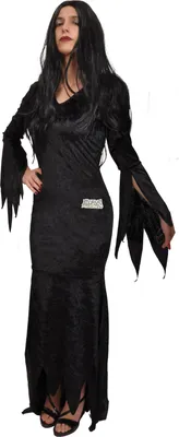 Produktbild von Morticia Addams Kostüm Verkleidung für Mädchen, Frau, Erwachsene, offizielle Addams Family (Einheitsgröße)