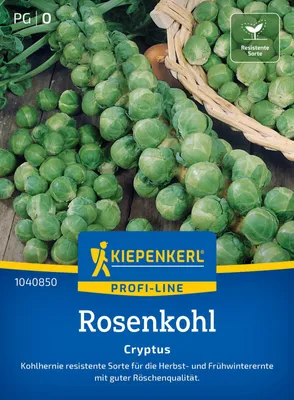 Artikelbild 2 von 'Rosenkohl Cryptus F1' aus der Kategorie Rosenkohlsamen