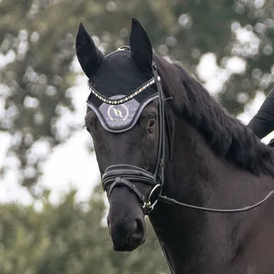 Image de Back on Track Haze Collection Fliegenhaube