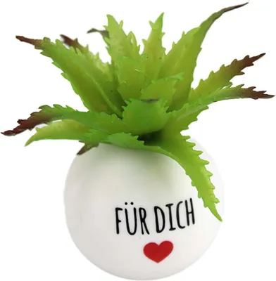 Produktbild von Künstliche Pflanze klein mit Motiv "Für Dich" - ca. 8 cm