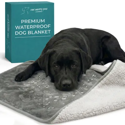 Image de Couverture imperméable pour petits chiens