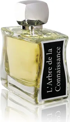 Image de Jovoy Paris L'Arbre de la Connaissance Eau De Parfum 100 ml (unisex)