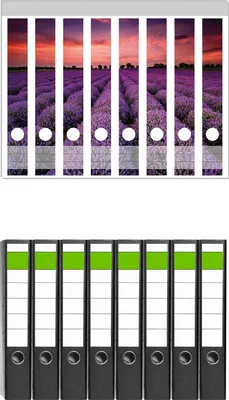 Produktbild von Wallario 8 Stück schmale Ordner inkl. Klebeetiketten mit Motive Lavendelfeld unter rotem Himmel -  Set mit Rückenschildern / Ordnerrücken Stickern