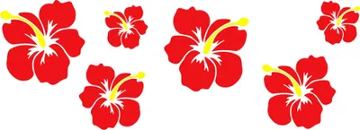 Produktbild von Aufkleber Hibiskusblüten-Set 490 x 160 mm