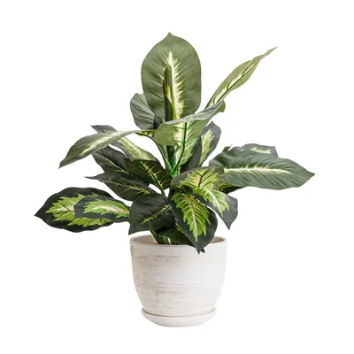 Obrázek produktu pro Keramický květináč Kulatý s podšálkem světle šedá 19 cm lesk s drenážním otvorem