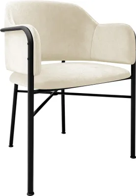 Produktbild von MIRJAN24 Stuhl Delivio, Esszimmerstuhl mit Beine aus Metall, Modern Kollektion (Farbe: Magic Velvet 2250)