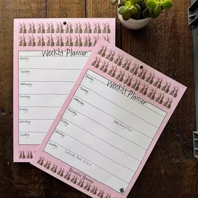 Immagine prodotto di Agenda settimanale A4/60K Coniglietti