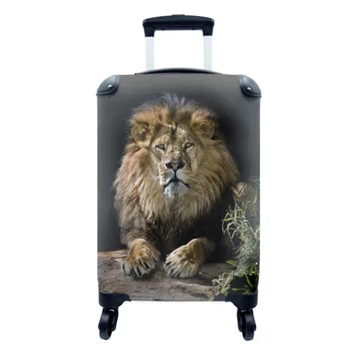 Produktbild von MuchoWow® Koffer Handgepäck Trolley Rollkoffer Kleine Reisekoffer mit 4 Rollen - Löwen - Jagd - Porträt - Cabin Size < 55x40x23 cm & 55x40x20 cm - Fotokoffer - Kabinenkoffer - Boardgepäck - Reise-Box - Reisekoffer - Reisegepäck - Koffer mit Bild - Trolley für Kinder