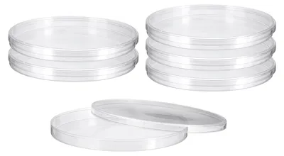 Petrischalen Kunststoff 150mm rund transparent 6 St.