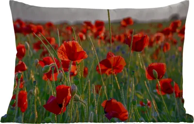 Produktbild von MuchoWow® Outdoor Kissen - Blumen - Mohnblumen - Natur - Rot - 60x40 cm - Wetterfest - Lounge Kissen - Zierkissen - Kissen für Innenräume