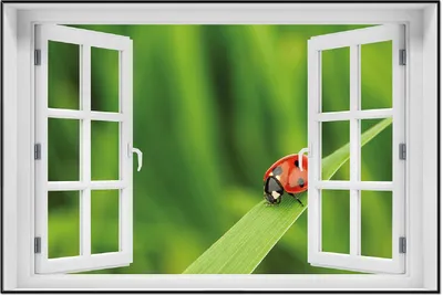 Produktbild von Wallario Wandbild mit Fenster-Illusion: Marienkäfer auf grünem Blatt, Größe: 61 x 91,5 cm, Poster mit schwarzem Aluminiumrahmen