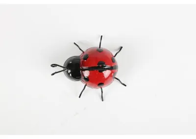 Image de Figurine Décoration Coccinelle Motif animal Statue Jardin Extérieur Pelouse