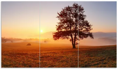 Produktbild von Wallario Herdabdeckplatte aus Glas, Größe 90 x 52 cm 3-teilig, Motiv Sonnenaufgang über der Wiese mit Nebel