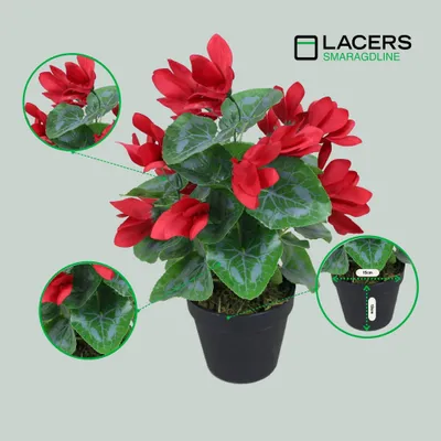 Produktbild von Lacers SMARAGDLINE künstliches Alpenveilchen 2er Set rot- 38cm - Kunstpflanze im Topf - wie echt wirkende Blätter & Blüten für Ihr Zuhause oder Büro