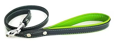 Hundeleine aus Leder, 110 cm, 2 cm breit, Schwarz & Grün