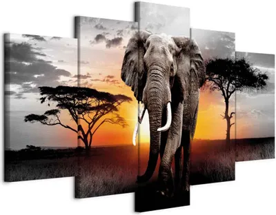 Produktbild von Italienischer Leinwand Leinwandbild - Elephant at Sunset 200x100 cm Tiere g-C-0054-b-o