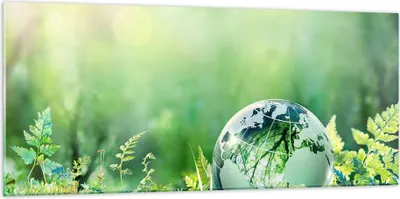 Produktbild von Bilder auf glas - natur natur - 120x50cm - Glasbilder - Wandbilder - Bilder - Kunstdruck - zum Aufhängen bereit - Wanddekoration aus Glas - Glas Bilder - Wandbild auf Glas - Einteilig - GAB120x50-4041