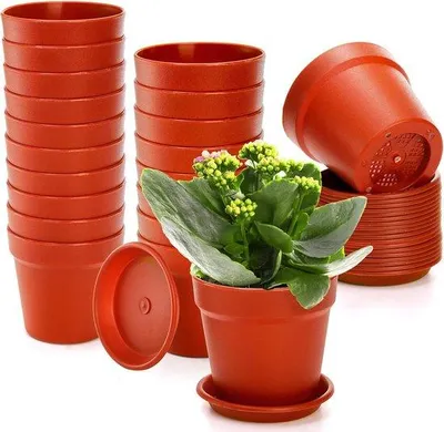 Image de Petits pots en plastique de 10 cm avec trou de drainage pour plantes d'intérieur