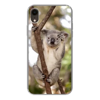 Produktbild von MuchoWow® Handyhülle Schutzhülle Hülle für iPhone XR Koala - Äste - Tier - Kinder - Jungen - Mädchen Silikon Softcase Handy Hülle - Schutzdeckel