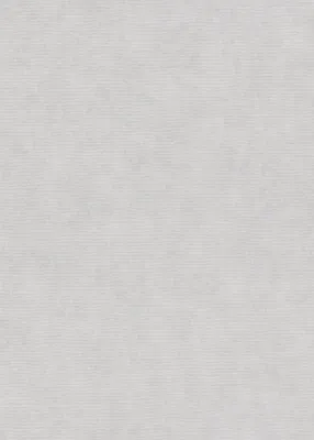 Produktbild von Erismann Vliestapete Uni grau 10,05 x 0,53 m