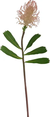 Produktbild von Frühlingsblume weiße Blüte Kunstpflanze Flora