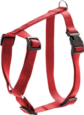 Obrázek produktu pro Art Sportivní Obojek, Červený, 25 Mm, 65–100 Cm