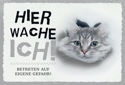 Produktbild von vianmo Holzschild 12x18 cm Katze hier wache eigene Gefahr