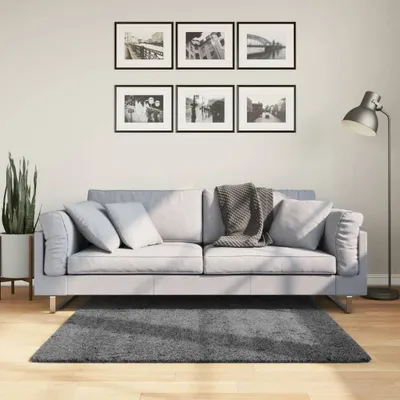 Obrázok produktu pre OVIEDO koberec s krátkym vlasom antracitový 120x120 cm