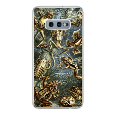 Produktbild von MuchoWow® Handyhülle Schutzhülle Hülle für Samsung Galaxy S10e Batrachia - Haeckel - Alte Meister Silikon Softcase Handy Hülle - Handy