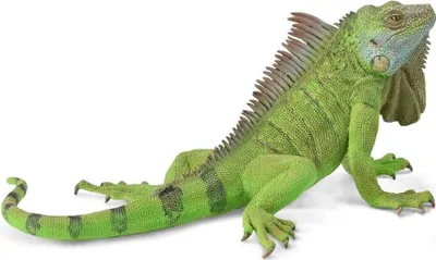 Obrázok produktu pre Collecta 88965 Leguán (zelený) 13 cm Divoké zvieratá